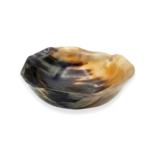 Freeform Horn Decorative Bowl